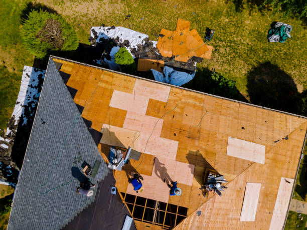 Roof Gutter Cleaning in Debary, FL
