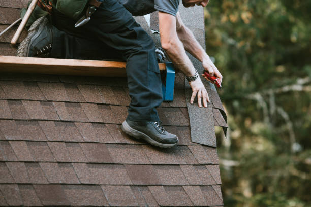 Best New Roof Installation  in Debary, FL